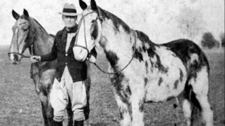 (AUDIO) Los caballos patagónicos que hicieron la mayor travesía de la Historia (Por Carlos Zampatti)